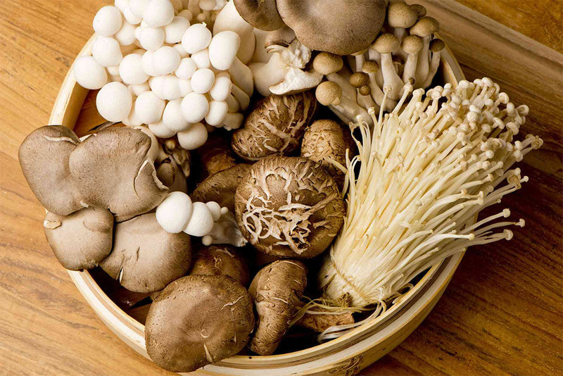 Thanksgiving dishes enhanced with mushroom powder for immune support and umami flavor boost