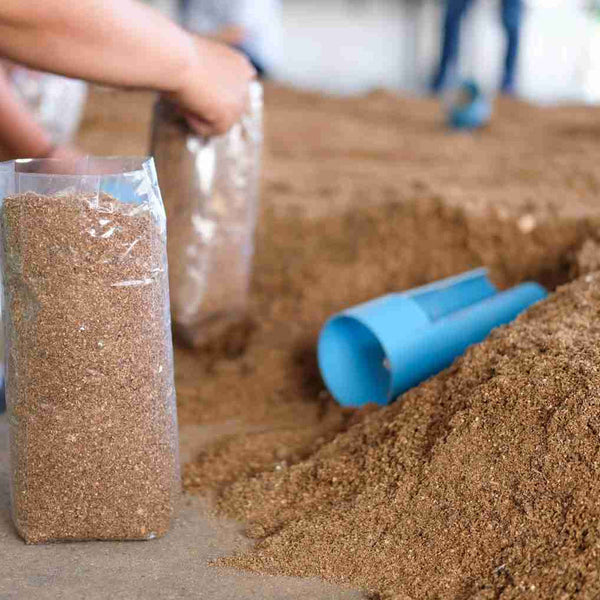 Grown on Hardwood Substrate