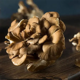 Maitake